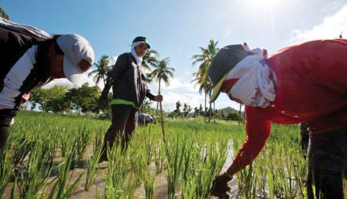 The Department of Trade and Industry has been pushing for the Senate's ratification of Regional Comprehensive Economic Partnership. It said it would lower the prices of goods, and Filipino-made products can easily be exported. JULIAN ABRAN WAINWRIGHT/BLOOMBERG VIA GETTY IMAGES