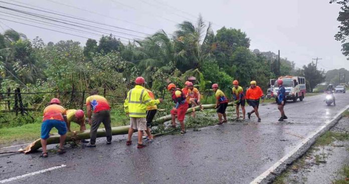 Provincial Disaster Risk Reduction and Management Office personnel conduct road clearing in Sibalom, Antique town during the onslaught of Severe Tropical Storm “Paeng”. PROVINCE OF ANTIQUE-PIO