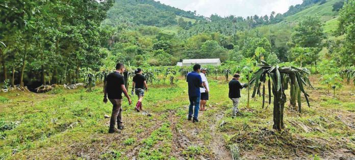 Personnel of the Department of Tourism (DOT) Region 6 conducted a three-day data-gathering activity in nine Capiz farms as part of its farm tourism development program. CAPIZ TOURISM AND CULTURAL AFFAIRS