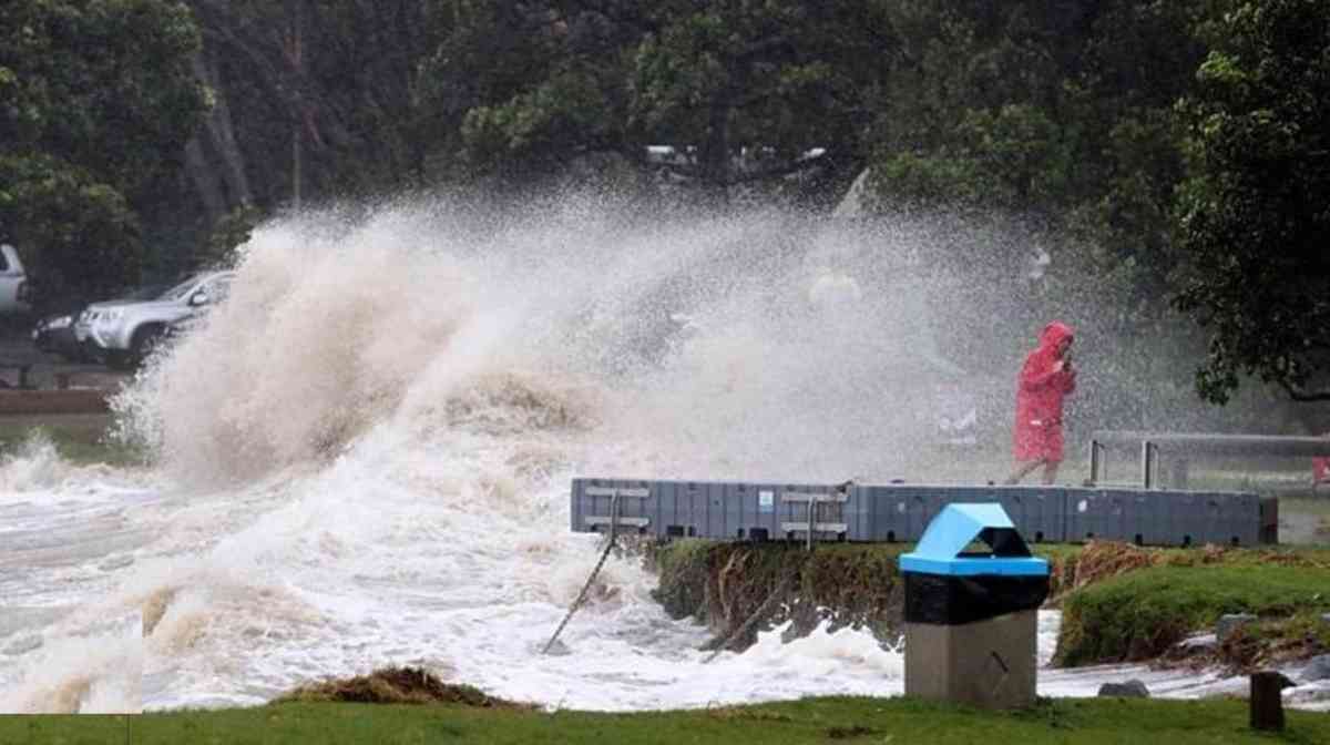 New Zealanders forced to swim to safety in floods