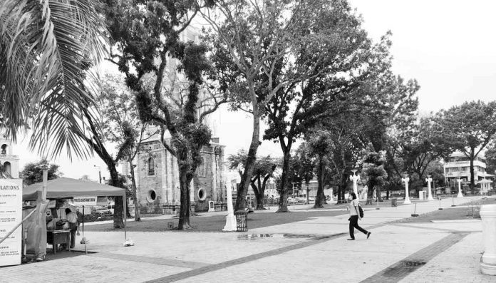 Twenty-six trees giving shade to plaza-goers in Jaro, Iloilo City will be cut down as part of the ongoing rehabilitation. Although all are non-endemic and non-protected species, replacement seedlings will be planted. AJ PALCULLO/PN