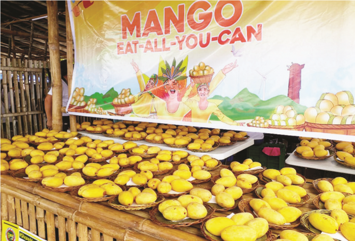 Feast on mouth-watering Guimaras mangoes during the Manggahan Festival’s “Mango-Eat-All-You-Can” from May 19 to 22, 2023. PN File Photo