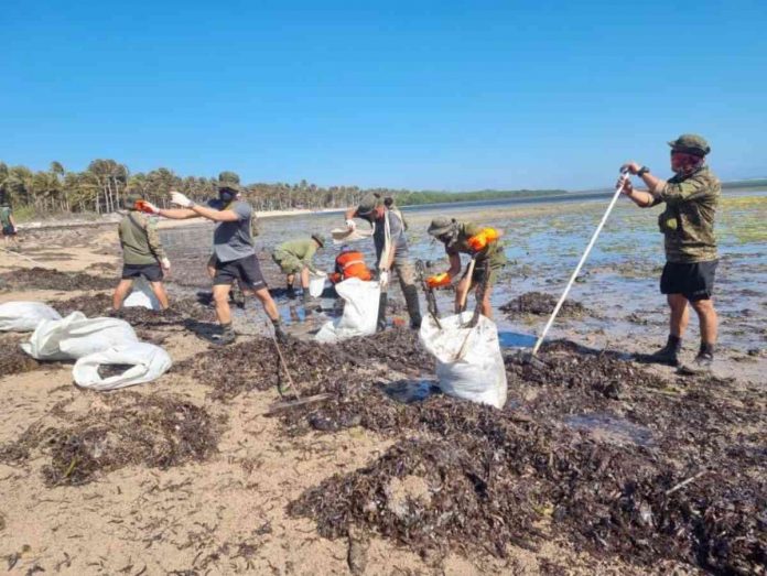 Philippine Coast Guard (PCG) District Western Visayas personnel collect 190 sacks of oil sludge from oil spill-affected areas in Caluya, Antique. Photo shows the coastal cleanup in Sitio Sabang, Barangay Tinogboc, Caluya. PCG-WESTERN VISAYAS PHOTO