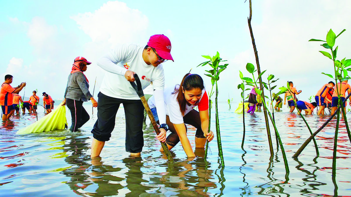 Growing Green: SMPC kicks off Earth Day 2023 with mangrove planting