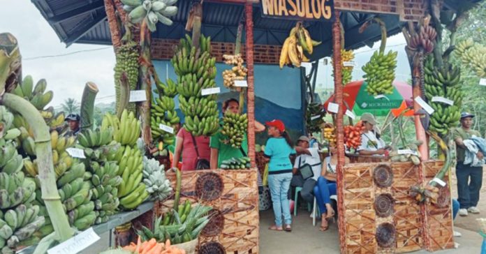 Barangay Masulog displays several banana varieties in the ongoing Banana Festival of La Castellana, Negros Occidental. The five-day event, which kicked off Saturday, April 1, was held for the first time at the Mandayao Panorama Park. PNA PHOTO BY NANETTE L. GUADALQUIVER