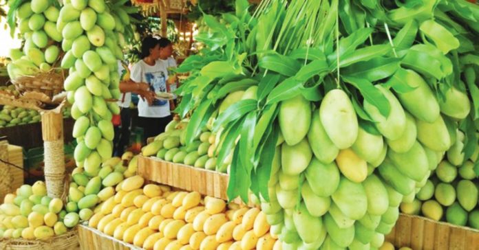 Some 100 tonnes of mangoes await visitors of the Manggahan Festival 2023 in Guimaras. PNA PHOTO