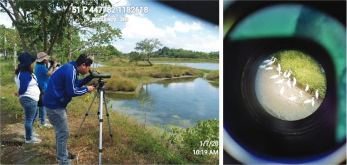 Left photo shows the staff of the Community Environment and Natural Resources Office of Guimbal, Iloilo use binoculars and spotting scope as they count waterbirds flocking in a wetland at Hinactacan, La Paz, Iloilo City. Right photo shows a flock of egrets captured through the spotting scope. DENR-6 PHOTO