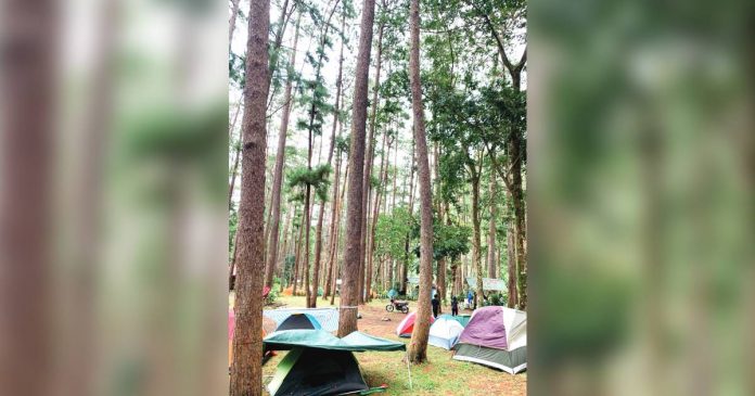 The Municipal Tourism Office assures tourists of their security and safety when visiting the Bucari Pine Forest Campsite in Sitio Tabionan, Barangay Bucari, Leon, Iloilo this Holy Week. IME SORNITO/PN