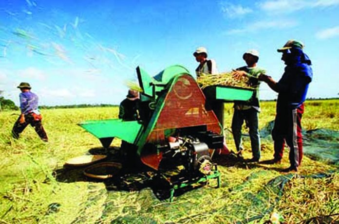 The use of small stationary machine threshers commonly replaces manual threshing given the high labor requirements of manual threshing, according to the International Rice Research Institute. Stationary threshing is generally done in the field, or near the field. IRRI.ORG PHOTO