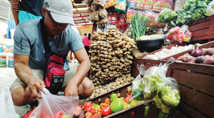 The Philippine Statistics Authority attributes the downtrend in inflation in March mainly due to the slowdown in the inflation of vegetables, including onions. AJ PALCULLO/PN