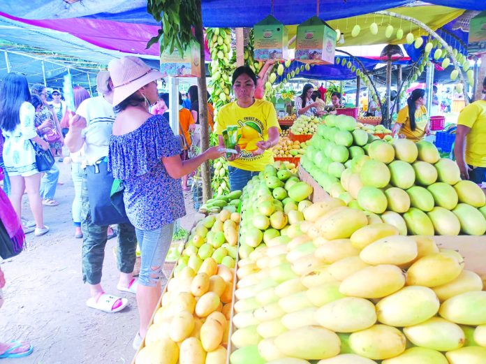 Hundreds of tourists, local and foreign, flock to the island province of Guimaras to taste the country’s “sweetest” mangoes during the Manggahan Festival. Yesterday, May 22, Guimaras also celebrated the 31st anniversary of its provincehood. SWEETNESS THAT ATTRACTS