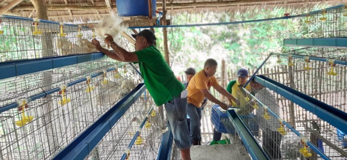 Nearly P1 million worth of inputs for egg production were given by the Department of Labor and Employment to farmers in Patnongon, Antique. DOLE-6 PHOTO