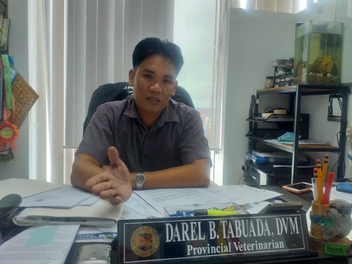 Iloilo Provincial Veterinary Office head Dr. Darel Tabuada says hog cholera is a highly contagious viral disease of domestic and wild swine but it is 100 percent preventable through vaccines. PN PHOTO