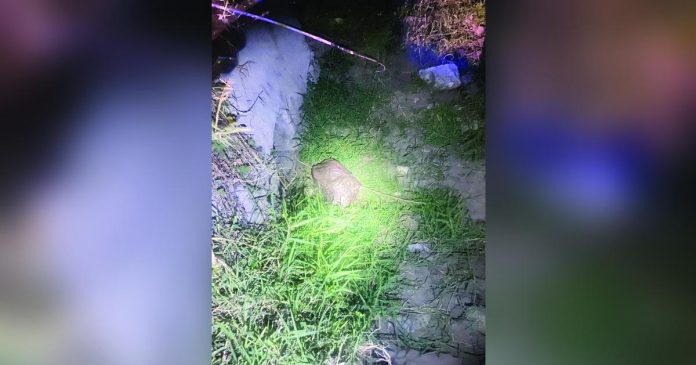 A dead body stuffed in a sack was recovered along the Economic Highway in Barangay Cabug, Bacolod City, on Tuesday night, May 2. The Bacolod City Police Office (BCPO) is planning to form a special investigative taskforce following a series of recoveries of human remains and chopped-off body parts in the metro. BACOLOD CITY POLICE STATION 9 PHOTO