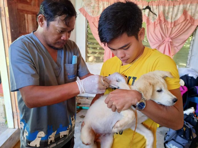 Personnel of the Municipal Agriculture Office (MAO) of Carles, Iloilo vaccinates a dog in Sicogon Island. The Provincial Veterinary Office and MAO-Carles conduct an anti-rabies vaccination, dog neutering and deworming of pets and stray dogs in the island barangays. ILOILO PVO PHOTO