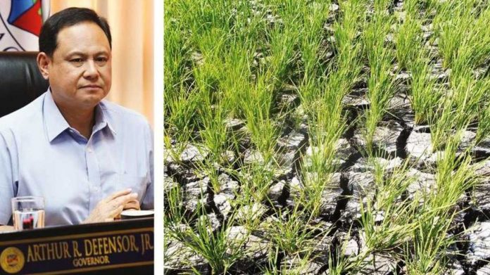 Gov. Arthur Defensor Jr. (left photo) says the Iloilo provincial government will prioritize irrigation systems that serve as water sources for small-scale farmers as part of the preparationa for the effects of the El Niño phenomenon. Right photo shows rice paddies that cracked due to lack of water. BALITA HALIN SA KAPITOLYO FB PHOTO; DA-AFID PHOTO