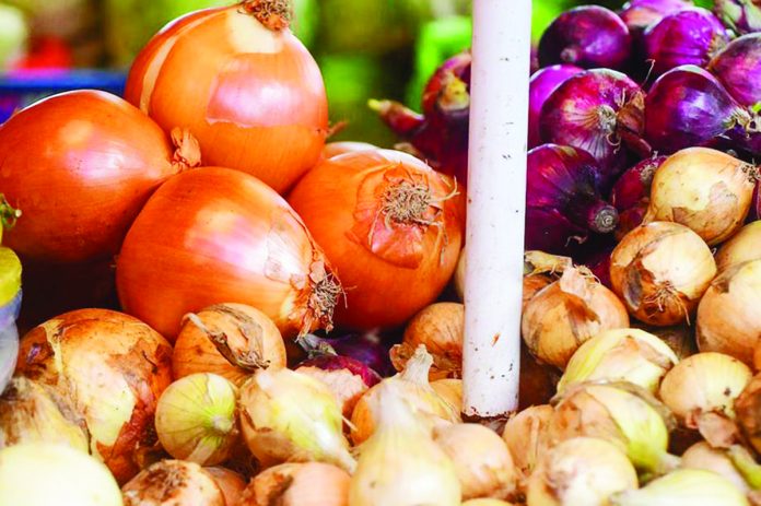 The supply of white onions in the Philippines can last until September this year, according to the Bureau of Plant Industry. PHOTO COURTESY OF ABS-CBN NEWS