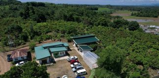 A post-harvest facility for the Capiz Chocolate Factory in Barangay Cogon, Panitan was turned over by the provincial government to local cacao farmers. Photo shows the aerial view of the entire Capiz Chocolate Factory. CAPIZ PROVINCIAL GOVERNMENT COMMUNICATION GROUP