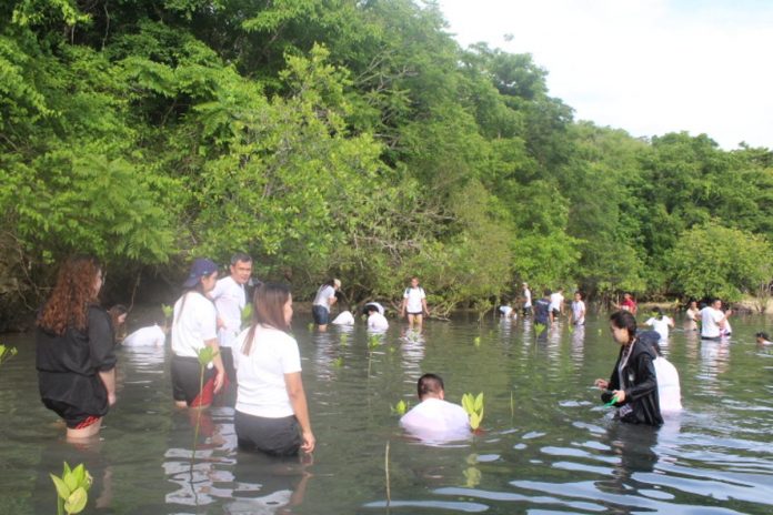 Joining the campaign to protect coastal ecosystems, the Guimaras Provincial Statistical Office held a mangrove planting activity on June 25. The activity was also part of the 10th anniversary celebration of the Philippine Statistics Authority. GUIMARAS PROVINCIAL STATISTICAL OFFICE PHOTO