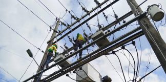 Central Negros Electric Cooperative (Ceneco) and Primelectric Holdings, Inc. / Negros Electric Power Corporation’s joint venture agreement aims to improve power distribution service in the cooperative’s franchise areas. Photo shows Ceneco linemen installing auto circuit recloser for Panaogao Feeder 1. CENECO PHOTO