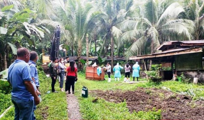 Personnel of the Hamtic Fire Station assist the Municipal Agriculture Office, Antique Provincial Veterinary Office and local police cull swine infected with African Swine Fever. Hamtic and San Jose de Buenavista are the first two towns to log cases of the hog disease in Antique. HAMTIC FIRE STATION PHOTO