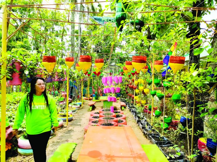 The National Nutrition Council Region 6 advocates for backyard growing of fruits and vegetables. File photo shows a “Gulayan sa Nabitasan” community vegetable garden in Barangay Nabitasan, La Paz, Iloilo City. PN PHOTO