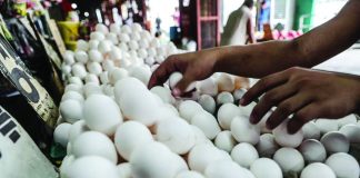 The Department of Agriculture lifts the ban on poultry meat and products from Belgium. Photo shows poultry products sold at a local wet market. JONATHAN CELLONA, ABS-CBN NEWS/FILE PHOTO