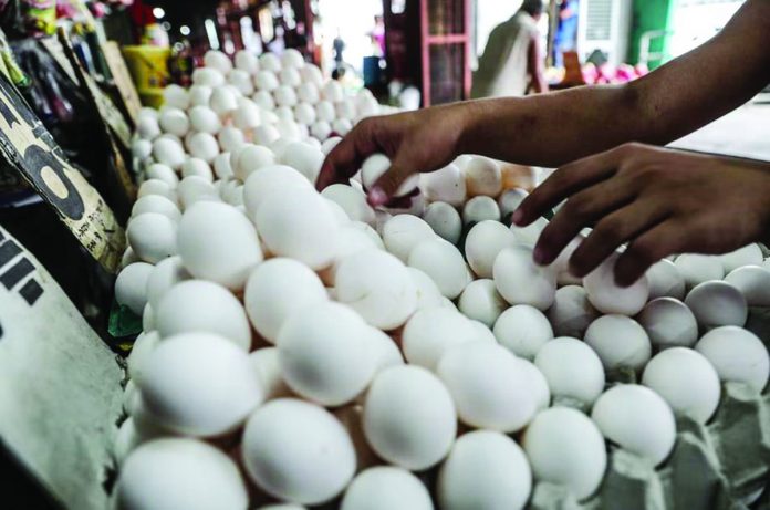 The Department of Agriculture lifts the ban on poultry meat and products from Belgium. Photo shows poultry products sold at a local wet market. JONATHAN CELLONA, ABS-CBN NEWS/FILE PHOTO