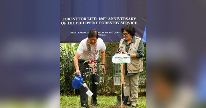 President Ferdinand R. Marcos Jr. graces the 160th anniversary of the Philippine Forestry Service coinciding with the Philippine Environment Month and Arbor Day (National Tree Planting Day) at the Department of Environment and Natural Resources - Central Office in Quezon City on June 26, 2023. He is shown here watering the molave tree seedling he planted to mark the occasion. REY BANIQUET/PNA