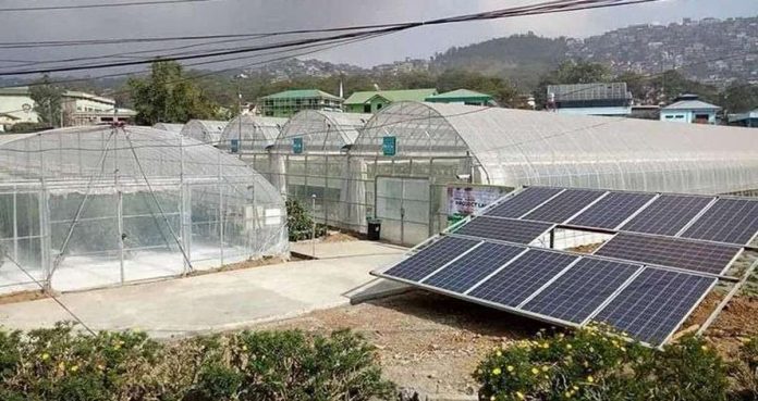 The Smart Greenhouse Philippines Project is located within the Bureau of Plant Industry compound in Baguio City. MANNY PIÑOL FACEBOOK PHOTO