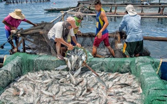 The World Bank says improving access to markets will help farmers and fisherfolk in rural areas raise their incomes and elevate their standards of living. PNA FILE PHOTO