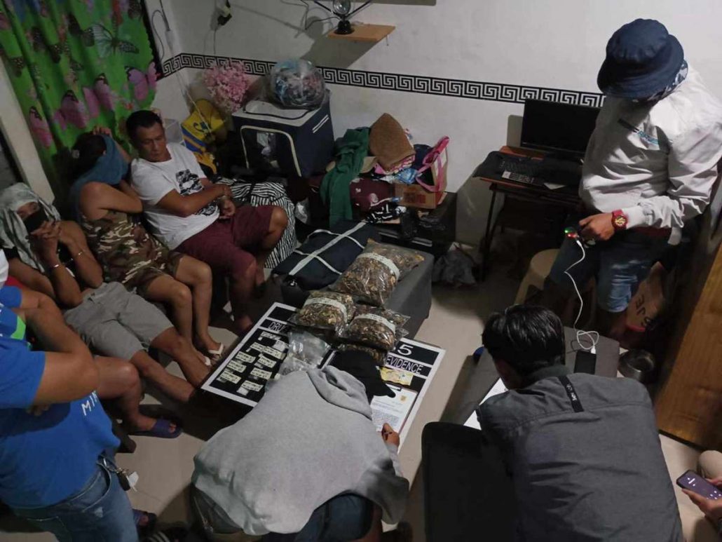 ‘Magic mushroom’ seized in Bacolod