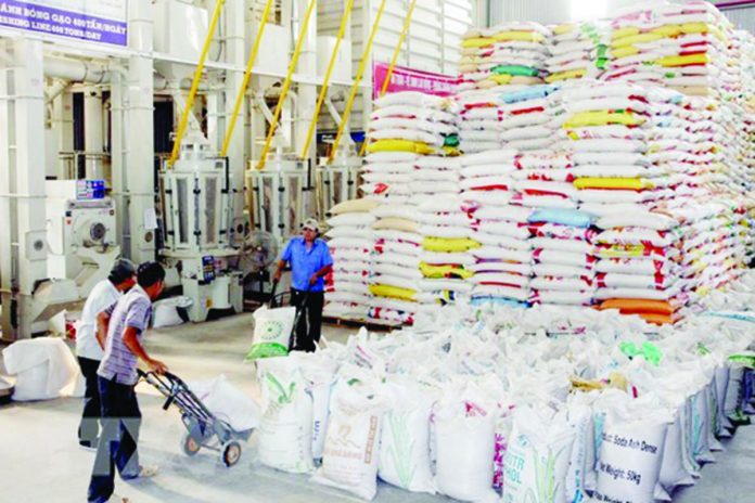 Vietnam expressed intention to continue exporting rice to the Philippines amid possible supply woes due to El Niño. In 2019, Vietnam shipped USD884.94 million worth of rice to the Philippines. VNA PHOTOVietnam expressed intention to continue exporting rice to the Philippines amid possible supply woes due to El Niño. In 2019, Vietnam shipped USD884.94 million worth of rice to the Philippines. VNA PHOTO