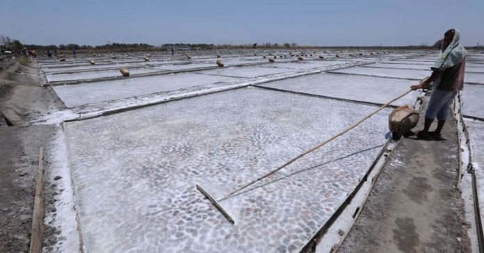 Under House Bill 8278, or the proposed Philippine Salt Industry Development Act, salt is classified as a basic agricultural product with all its necessary legal and regulatory implications. Photo shows the Borlongan Aqua Salt Farm in Barangay Banog Norte, Bani, Pangasinan. PNA PHOTO BY JOEY O. RAZON