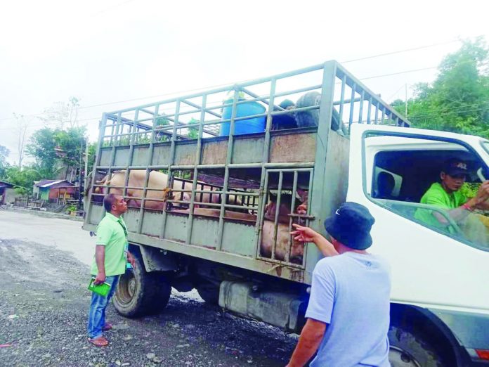 The Veterinary Quarantine Inspection Team of Hamtic, Antique and the Office of the Provincial Veterinarian inspect vehicles. OFFICE OF THE PROVINCIAL VETERINARIAN-ANTIQUE FB