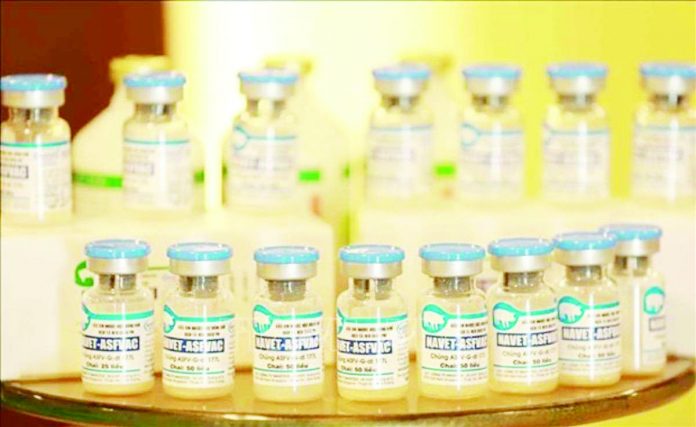 The Vietnam-made African Swine Fever vaccines will be exported to the Philippines in October. VOV.VN PHOTO