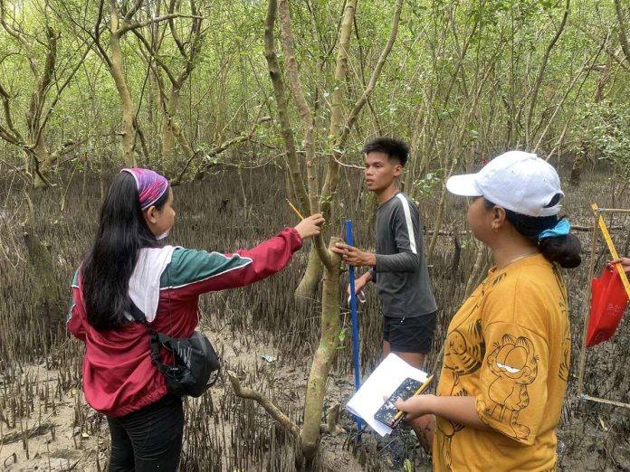 Various stakeholders work together to assess the mangrove ecosystem in President Roxas, Capiz, in celebration of World Mangrove Day. CaPENRO PHOTO