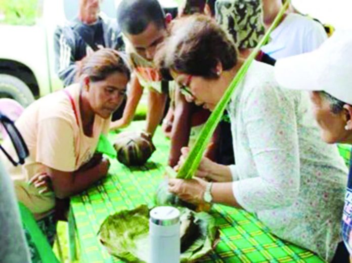 The Office of the Provincial Agriculturist of Negros Occidental conducts training on mass rearing of cocolisap predators in Barangay Mailum, Bago City. RAPPLER/PCA-WESTERN VISAYAS PHOTO