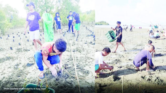 Volunteers and local stakeholders from the municipality of Ajuy, Iloilo conduct mangrove tree planting and coastal clean-up in Barangay Culasi of the said town. MUNICIPALITY OF AJUY PHOTO