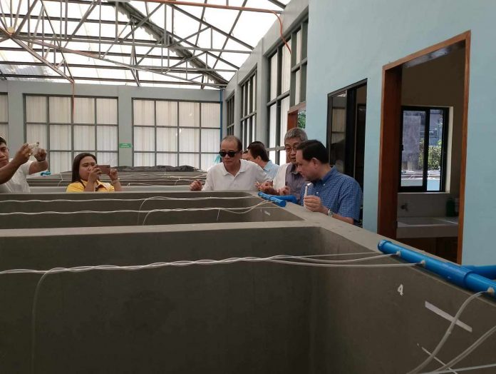 Gov. Arthur Defensor Jr., Provincial Administrator Raul Banias and Provincial Agriculture Office chief Dr. Ildefonso Toledo lead the inauguration of the crab hatchery in Concepcion, Iloilo on Aug. 31. I CHANNEL MULTIMEDIA PRODUCTION PHOTO