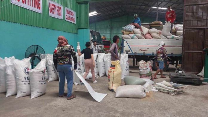 Farmers from southern Negros Occidental sell clean and dry rice to the National Food Authority at Malaluan Warehouse in Barangay Dancalan, Ilog town on Sept. 22. NFA NEGROS OCCIDENTAL