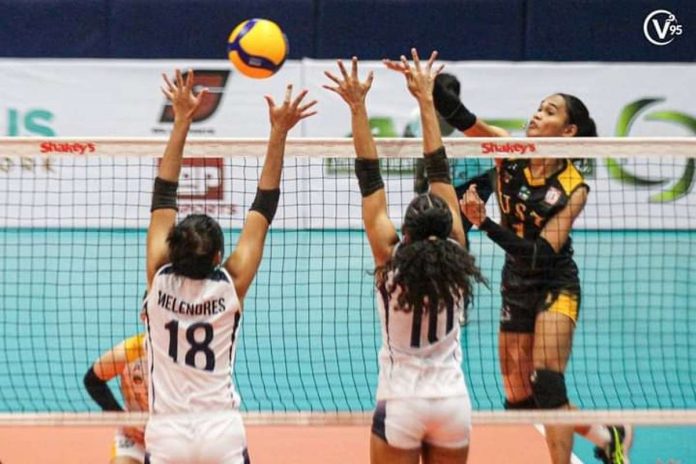 University of Santo Tomas Golden Tigresses’ Angeline Poyos smashes the ball towards the defense of Colegio de San Juan de Letran Lady Knights. THE VARSITARIAN PHOTO