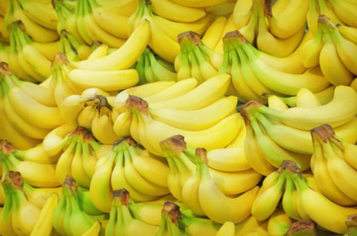 The Department of Trade and Industry says Korea “committed to remove tariffs on Philippine bananas in five years from entry into force of the agreement.” PHOTO COURTESY OF DA