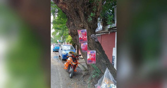 Campaign materials were posted on a tree in Iloilo City. The City Environment and Natural Resources Office reminded candidates that this is in violation of the law. AJ PALCULLO/PN