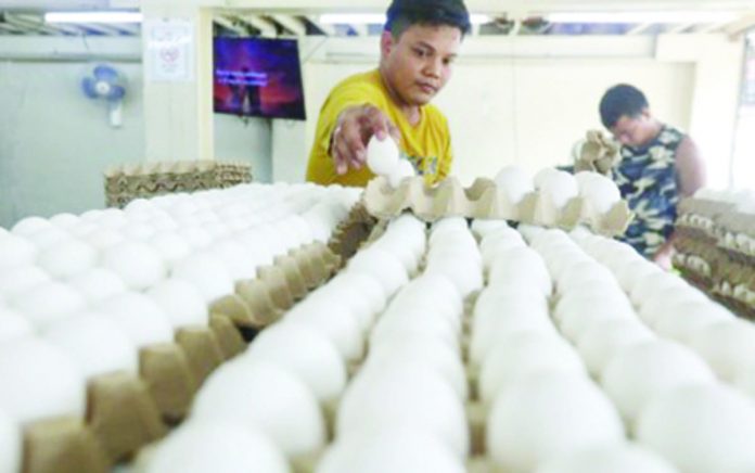 Store workers arrange trays of eggs at the Blumentritt Market in Manila. The Department of Agriculture on Friday, Oct. 6, says it sees a slight hike in egg prices and its supply at 36 million per day remains stable. PNA PHOTO BY YANCY LIM