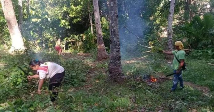 The municipality of San Joaquin in Iloilo joins the province-wide cleanup aimed at addressing dengue. ILOILO PROVINCIAL HEALTH OFFICE FB PHOTO