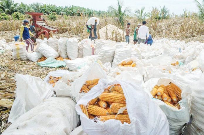 Executive Order No. 10 extended the temporary modification of rates of import duty on various products including corn until the end of 2023. PHOTO COURTESY OF ABS-CBN NEWS