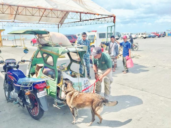 Personnel of the Philippine Drug Enforcement Agency Region 6 conduct random paneling, profiling, and K9 inspection at the seaport in Barangay Sapao, Dumangas, Iloilo. PDEA REGION VI FB PHOTO