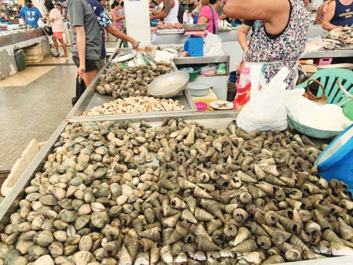 The Bureau of Fisheries and Aquatic Resources has declared the towns of Panay, Pilar, and President Roxas in Capiz free from red tide toxin. Photo shows shellfish being sold at Teodoro Arcenas Trade Center in Roxas City. 107.3 BRIGADA ROXAS CAPIZ