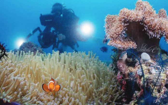 A diver takes photos of corals during the Bohol Loop Dive Expo 2023. Participated by various diving and underwater photography enthusiasts, the first-ever underwater activity in Bohol featured world-class dive sites in Central Visayas. SPARK CHAO VIA BOHOL LOOP DIVE EXPO FB PHOTO